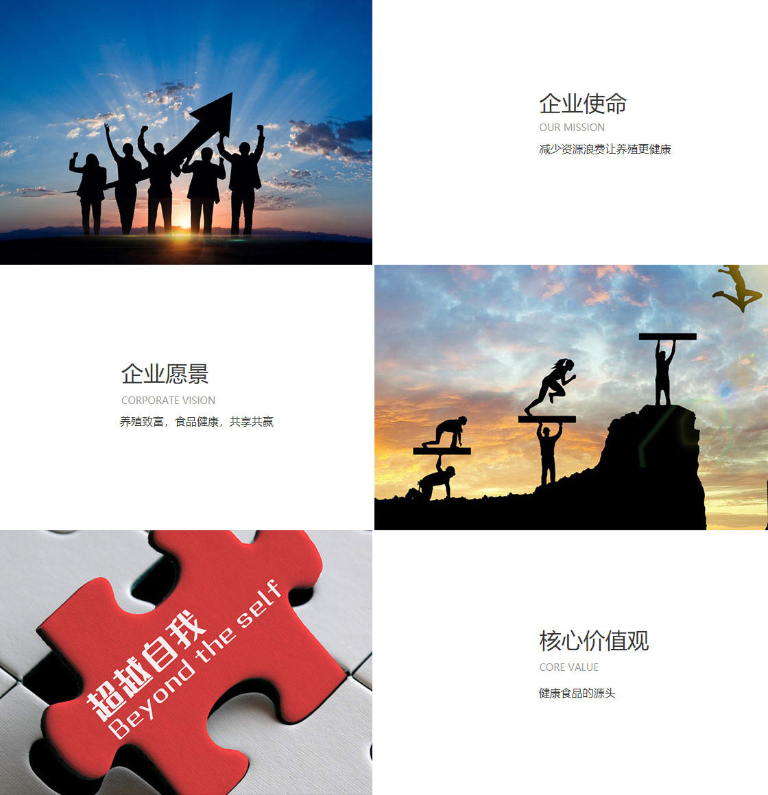 金沙js9线路中心(图1)